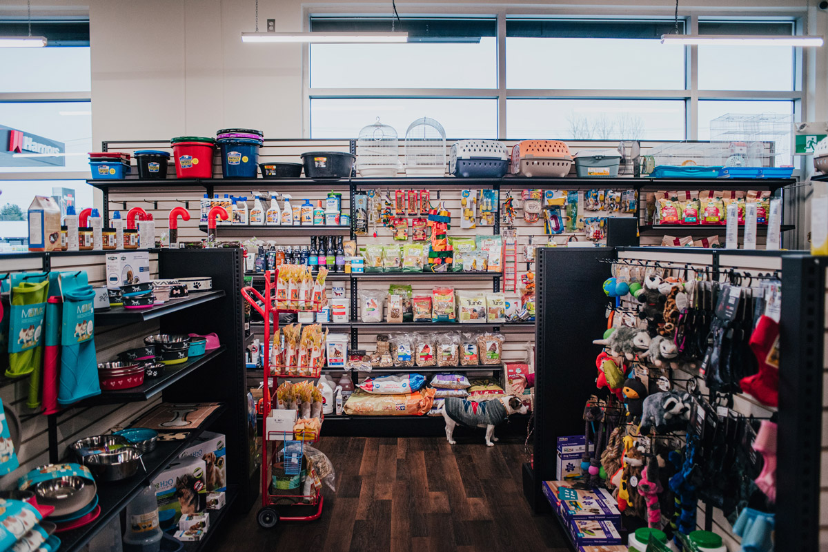 Pedlex aménagement espace commercial équipements commerce dessin magasin